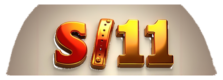 s11